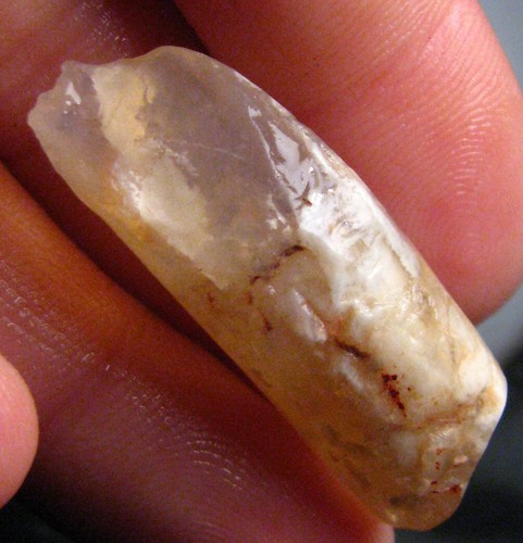 Fossile pipe belemnite - o&co,