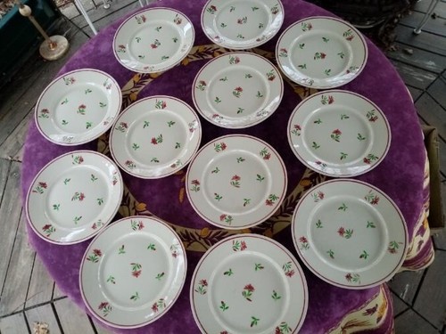 Assiettes plates demi - 12,