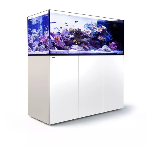 Red sea reefer - red,