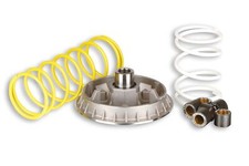 Variateur Malossi 5111226 Pour