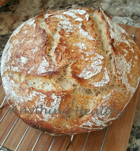 Séché sauvage levain pain - levain,