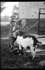 Couple avec biquette chèvre -
