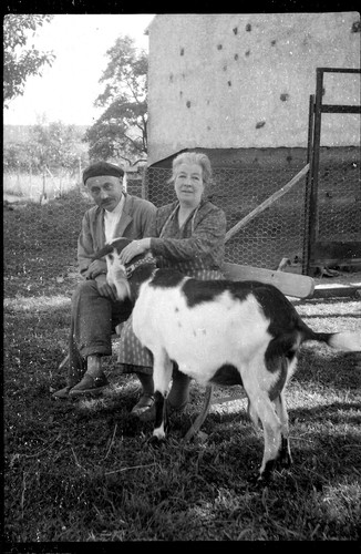 Couple avec biquette chèvre - ,