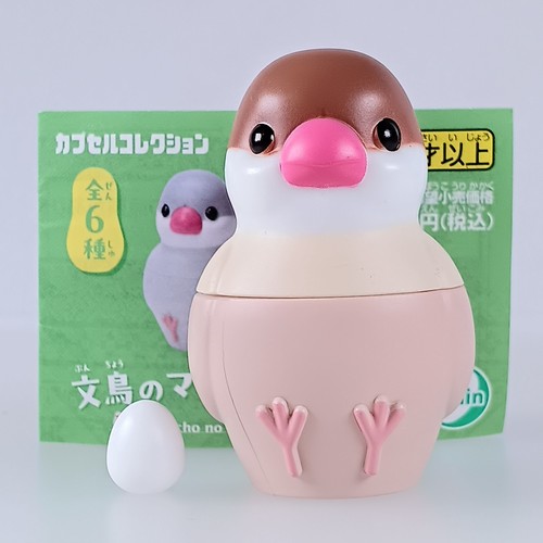 Moineau java cannelle - moineau,