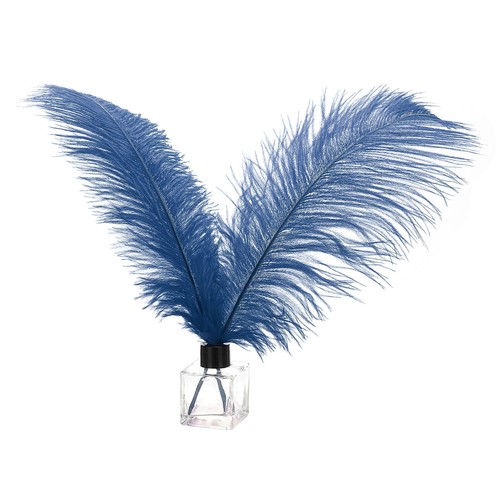 Pièces plumes autruche - plumes, d'autruche