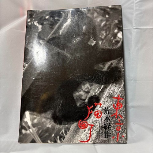 Tokyo neko machi - neko,