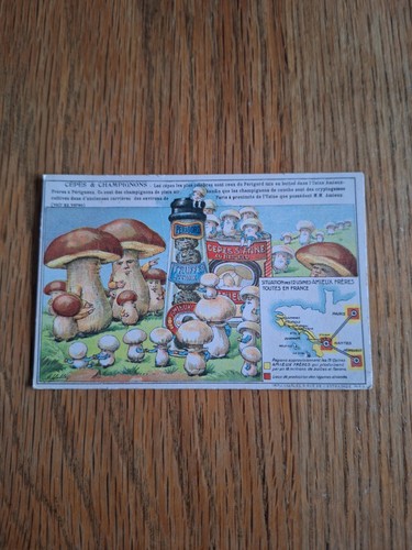 Chromo cepes champignons - cepes,