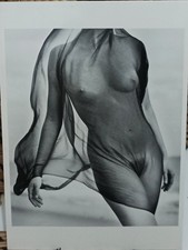 Carte photo Herb Ritts “Veiled Torso” 1984 – Fotofolio – tirage officiel