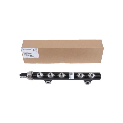 Fuel manifold for peugeot - manifold,