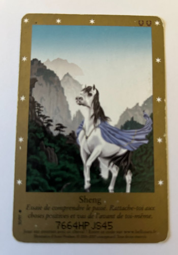 C89 carte bella - c89/, sheng