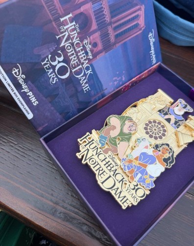 Pin the hunchback notre - the,