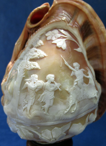 Cameo shell lamp lampe - shell, camÉe