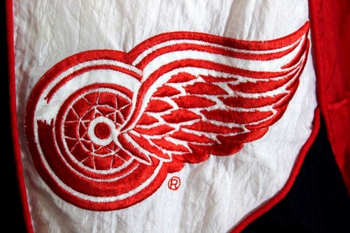 Detroit red wings nhl - detroit,