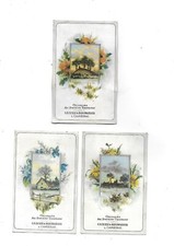 3 CHROMOS anciens CHICOREE Casiez Bourgeois paysages fleurs H. 12 cms