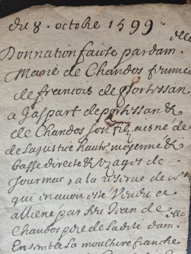 Parchemin 1599 henri - parchemin, iv