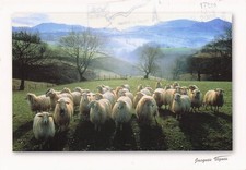 64 ENVIRONS D ESPELETTE