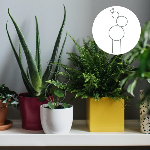 Treillis pour plantes - treillis,