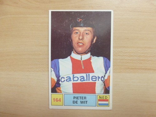 164 pieter wit panini - n°,