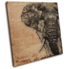 Elephant Sketch Aged  Animals