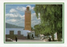 Algeria postcard tlemcen - algeria,