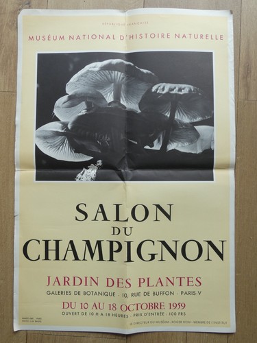 Affiche ancienne salon - salon, du