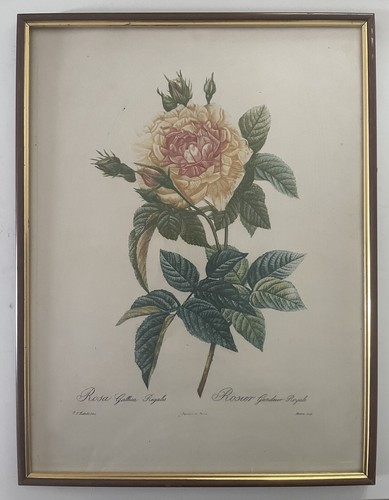 Lithographie sur papier