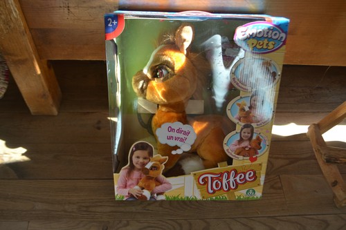 Poney toffee emotion - poney, pets