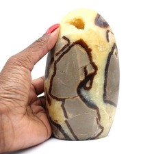 ▶️ Pierre de Septaria