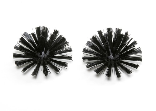 Fuchs tête brosse avec - de,