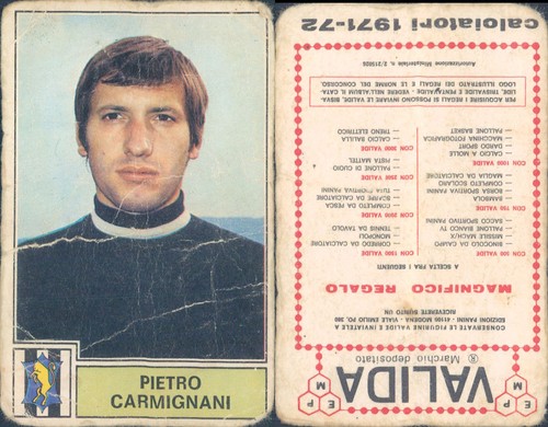 Figurine footballeurs panini - footballeurs,