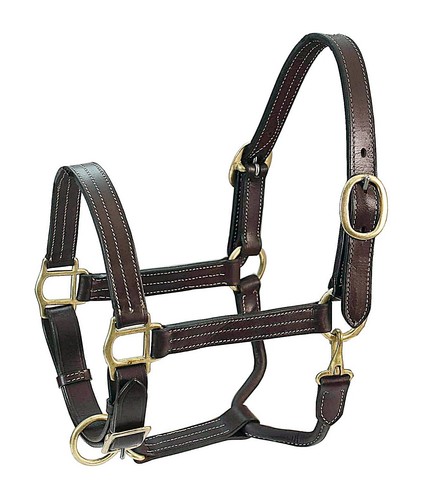 Harnais cuir gold - harnais, en