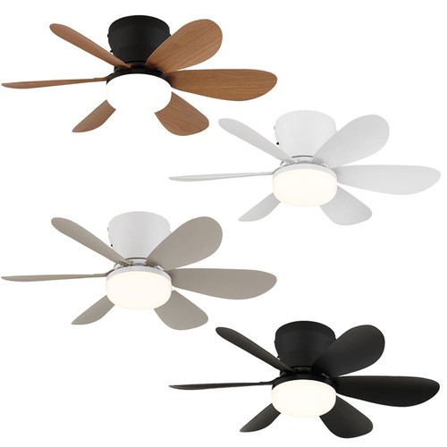 Globo ventilateur plafond - ventilateur, de