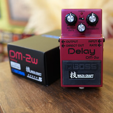 Pédale de guitare BOSS DM-2W