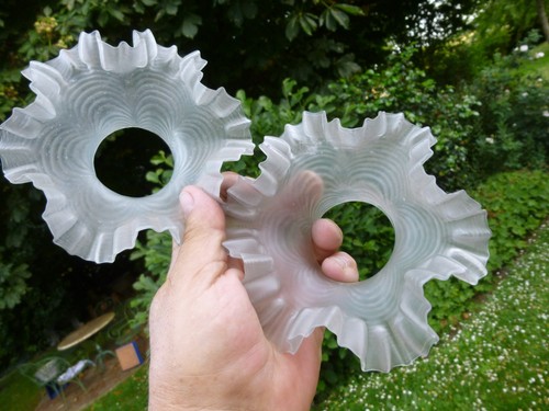 Rare paire tulipes de - paire,