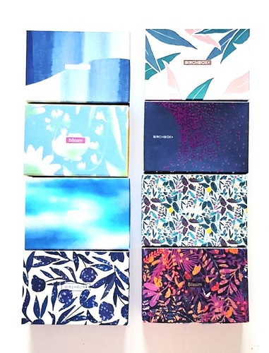 Boîtes blissim birchbox - 8,
