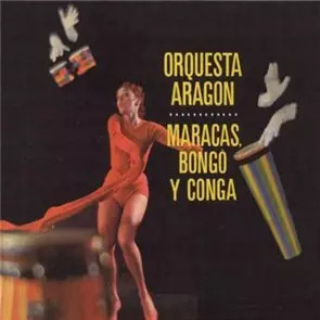 Maracas bongo conga - bongo, y