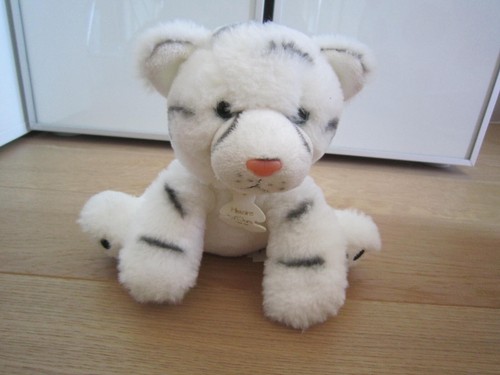 Bébé tigre blanc histoire