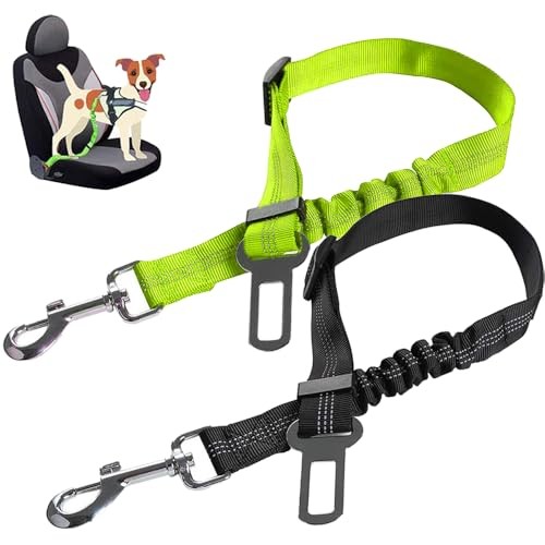 Pièces ceinture chien - 2,