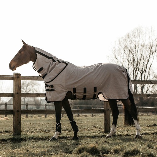 Kentucky horsewear mesh fly - kentucky,