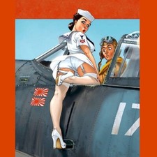 SEXY WAR BIRDS AVIATION de GUERRE avions de légende PIN UP WINGS tome 4 HUGAULT