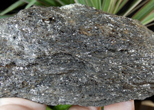 Gneiss Biotite Mica Noir 12x5.5cm mineral collection ancien lithothérapie reiki