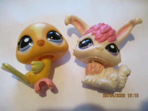 Petshop duo paon 1893 - petshop, +