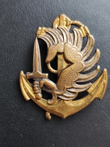 Insigne militaire beret - militaire,