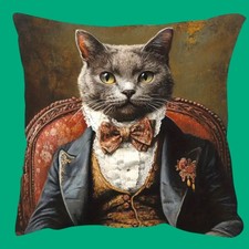 Housse de coussin chat humanisé costumé   45X45 cm
