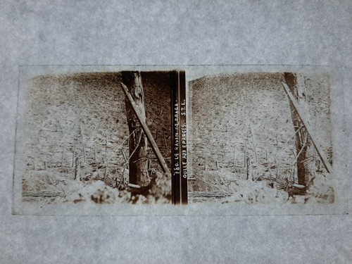Guerre ww1 superbe - guerre, 14-18