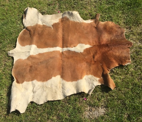 Ancien tapis peau vache - peau, de
