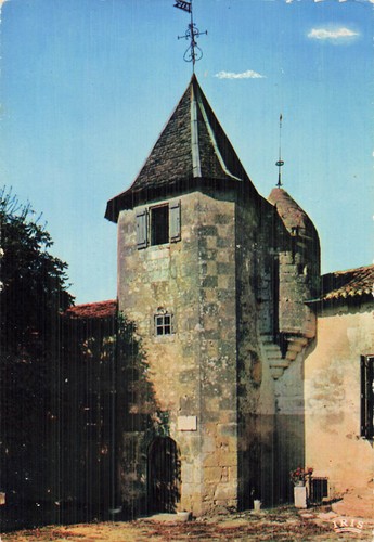 Pres champagne vieux - 16,