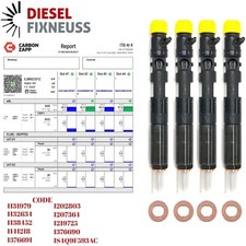 4x Injecteur Delphi EJBR02201Z EJBR01601Z Ford Transit Connect 1,8TDCI