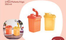 LOT DE 2 PETITS PICHETS  350