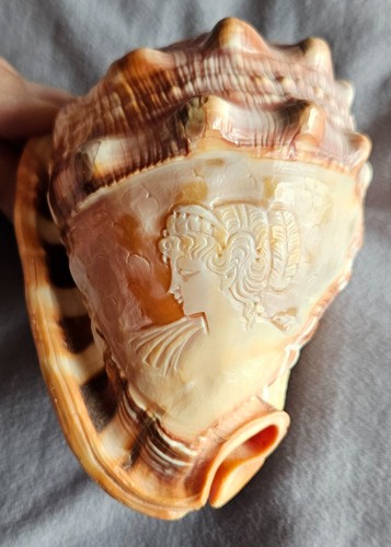 Coquillage vintage gravé - , en